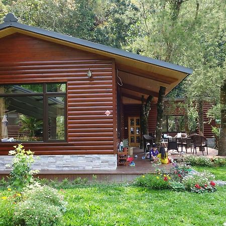 Puli Star Garden B&B Δωμάτιο φωτογραφία